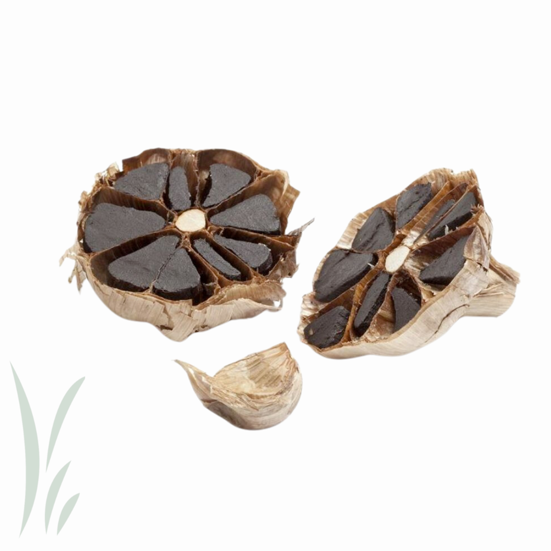 Black Garlic / lb